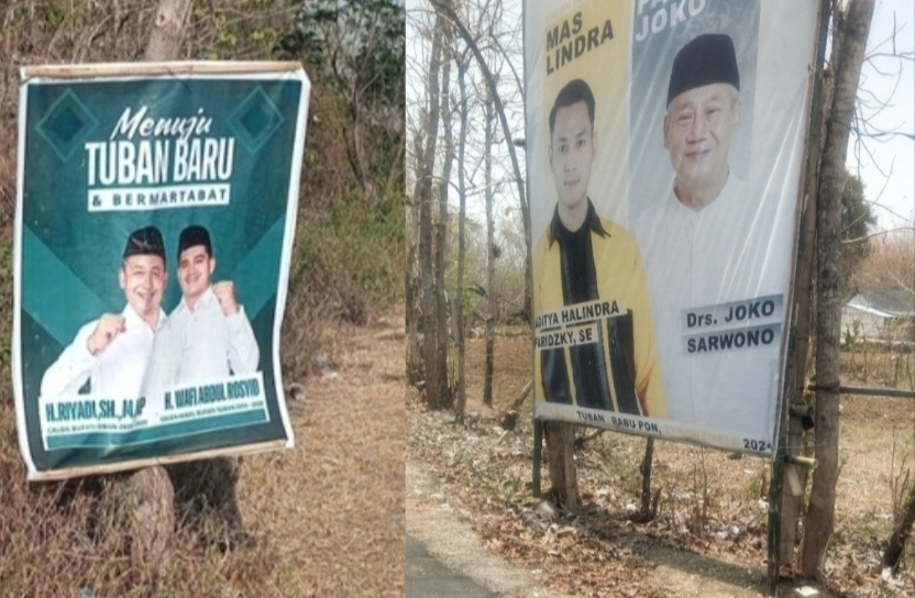 DLHP Tuban Temukan 33 APK Paslon Langgar Perda dan Perbup, Terpasang di Pohon