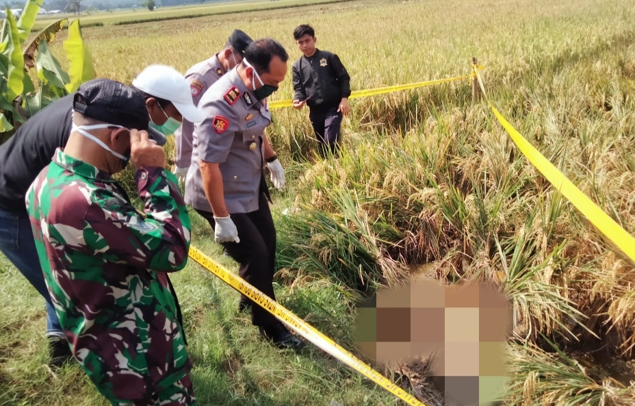 Identitas Mayat di Area Sawah Singgahan, Tuban Terungkap, Korban Gadis Asal Tingkis