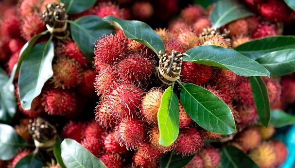 Musim Rambutan! Simak Sederet Manfaatnya Bagi Kesehatan