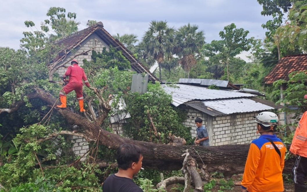 24 Rumah Rusak Akibat Puting Beliung di Tuban