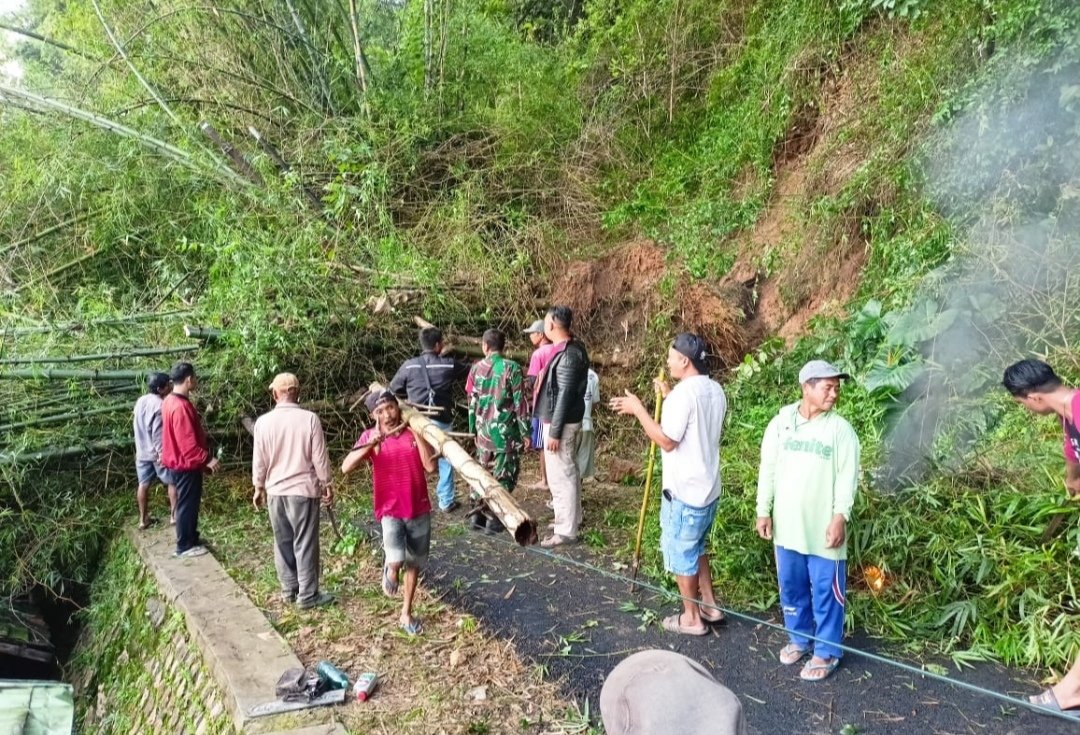 Tanah Longsor dan Pohon Tumbang di Grabagan Tuban, Jalan Sempat Tertutup Total