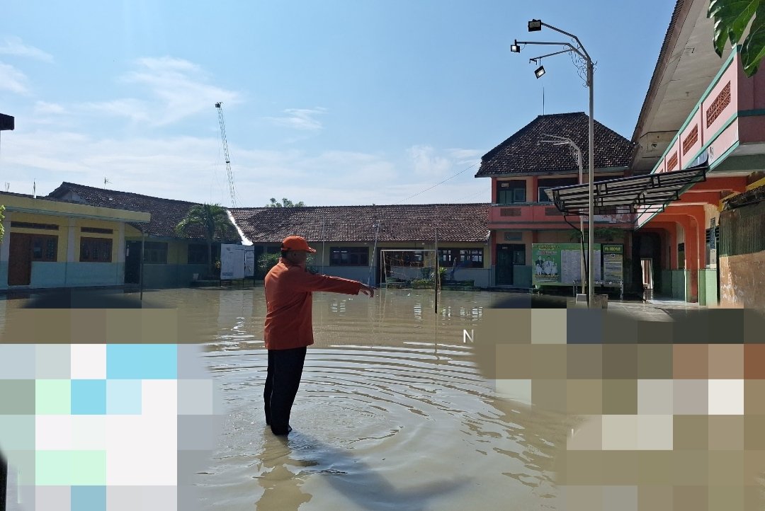 Banjir Bengawan Solo Rendam 4 Kecamatan di Tuban, Ratusan Hektare Sawah Terendam