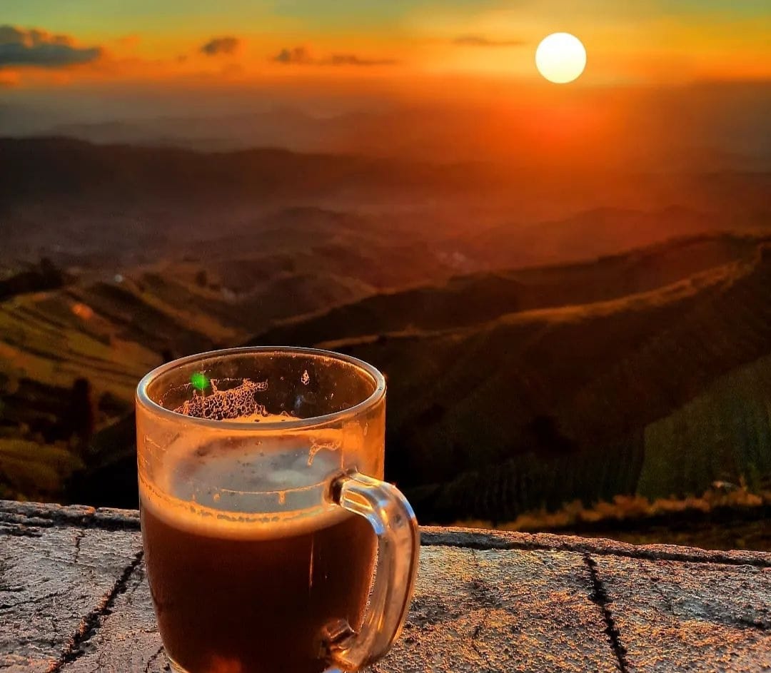 Hukum Minum Kopi yang Masih Panas