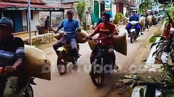 Viral Tradisi Seserahan Jor-joran di Tuban, Mulai Sapi hingga Gabah Puluhan Karung