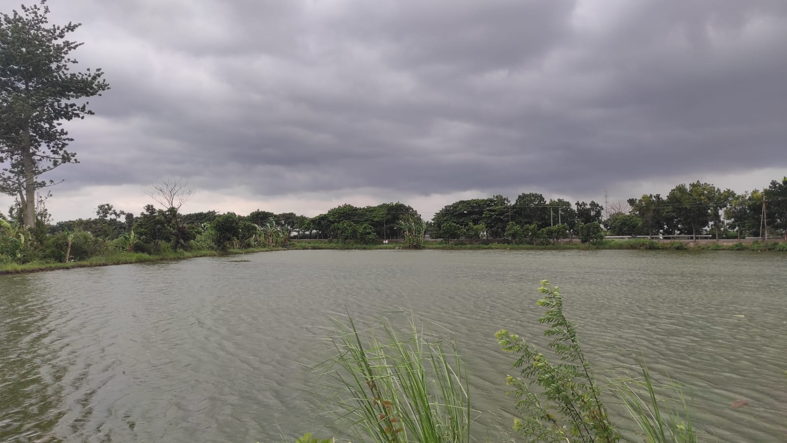 Potensi Hujan dan Angin Kencang Merata di Tuban