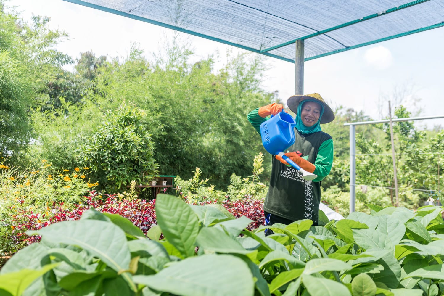 Mengubah Lahan Pascatambang Menjadi Oase Hijau yang Produktif
