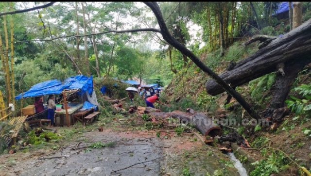 Pohon Tumbang di Kawasan Wisata Nglirip Tuban, 1 Orang Dilarikan ke Rumah Sakit
