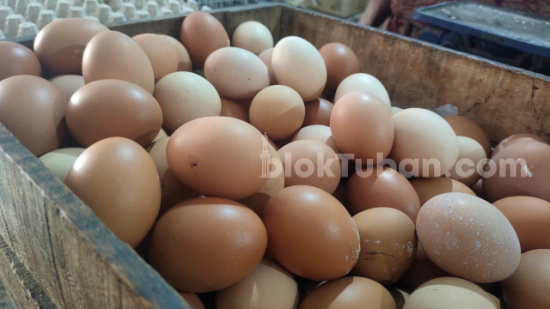 Pasca Lebaran 2024, Harga Telur Ayam Masih Tinggi