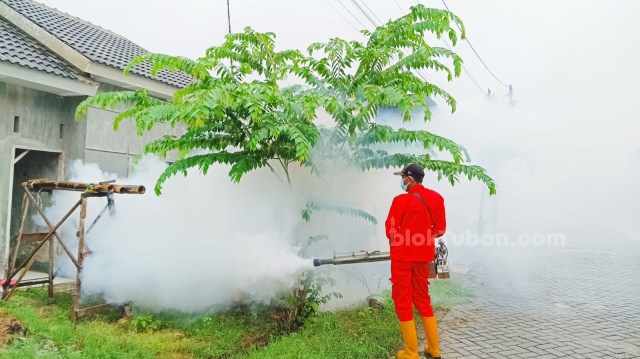 Terdapat 8 Kasus DBD Terlaporkan di Gedongombo, Dinkes Tuban Lakukan Fogging