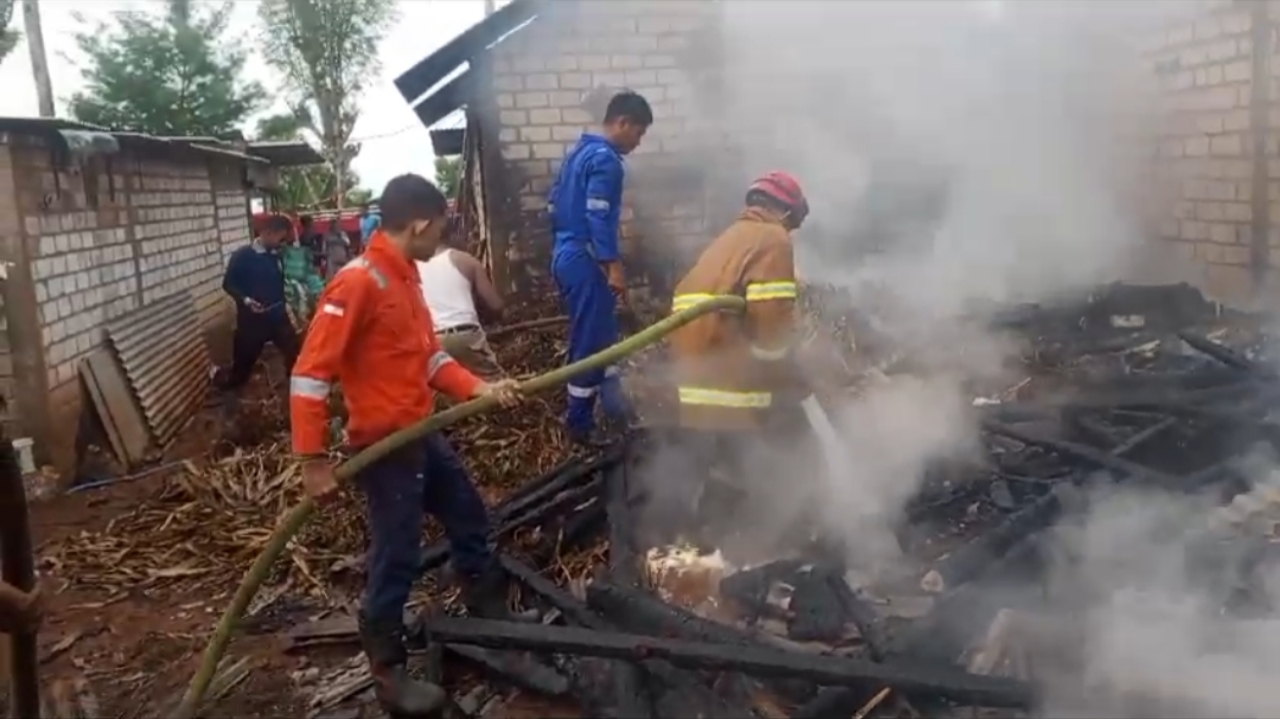 Kebakaran Kandang di Tuban Akibatkan Kerugian Ratusan Juta