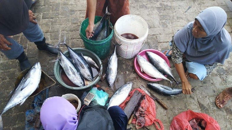 Harga Ikan Tongkol dan Cakalang Naik, Telur Turun di Tuban