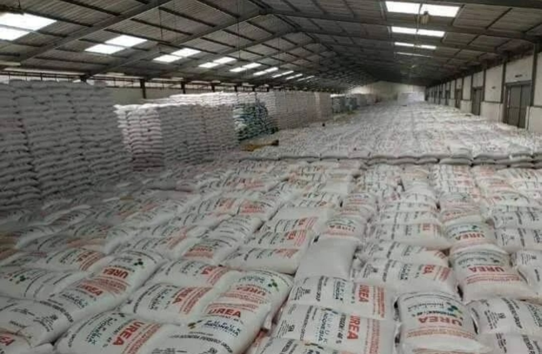 Pupuk Bersubsidi Disalurkan ke 3,4 Juta Petani di Jawa Timur, Stok 1.920.074 ton