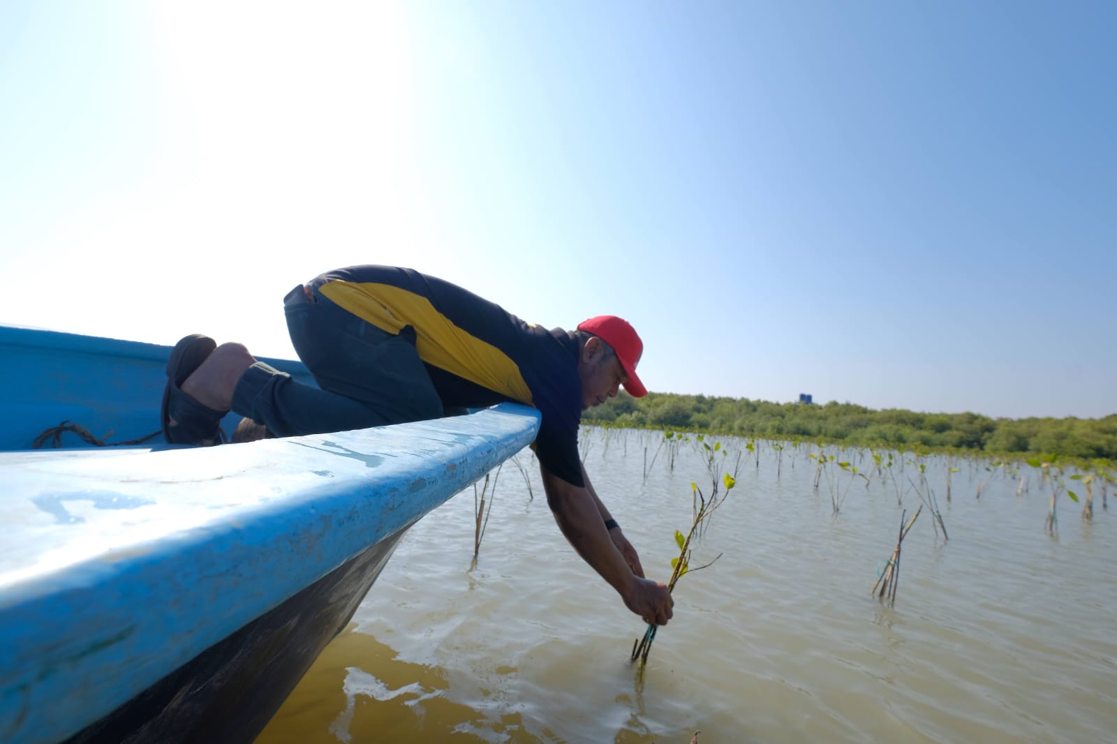 Prakiraan Cuaca Tuban 19 Mei 2024 Suhu Udara 24° - 34° Celsius