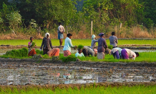 Pandangan Sosial Terhadap Petani “Pahlawan yang Terlupakan”