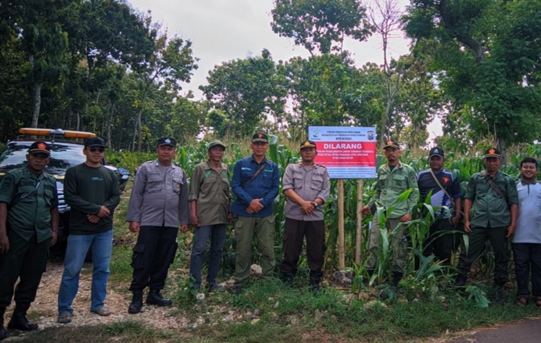 Ancaman 10 Tahun Penjara bagi Penggarap Liar di Kawasan Hutan