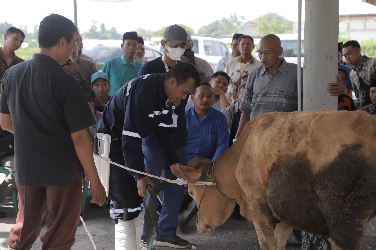 Teknis Penyembelihan Hewan Kurban yang Sesuai Syariat Dipelajari di Tuban