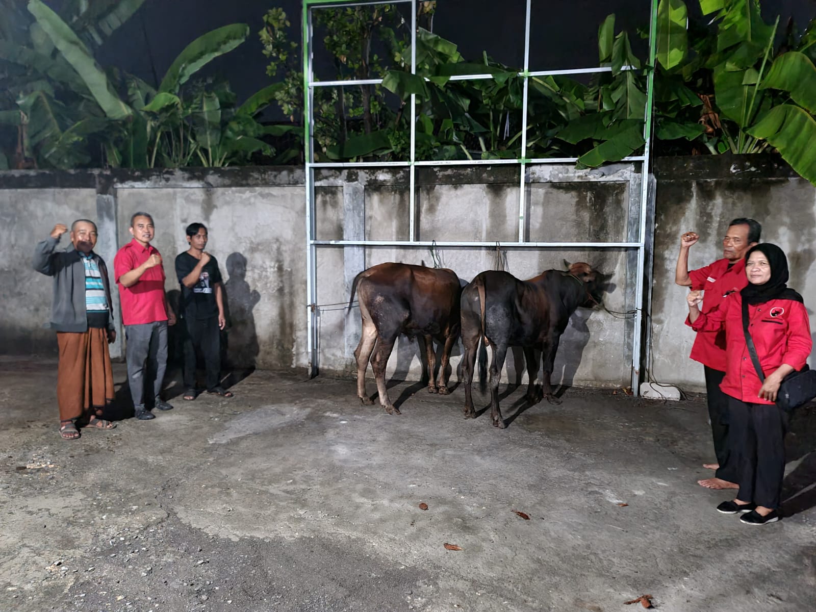 PDI Perjuangan Tuban Salurkan Kurban dari DPD PDI Perjuangan Jatim