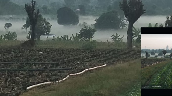Kondisi Udara Desa Tasikharjo Pasca Kebocoran Tangki TBBM Pertamina Jenu Tuban