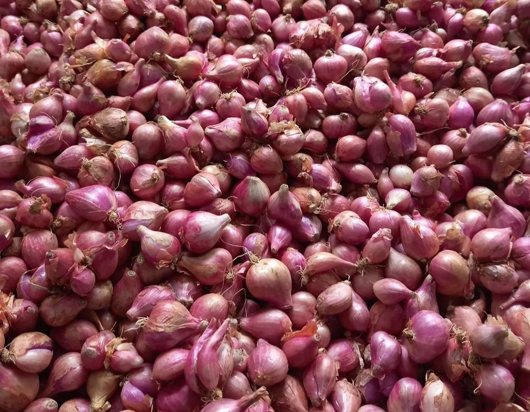 4 Bahan Pokok Turun, Cabai dan Bawang di Tuban Merangkak Naik