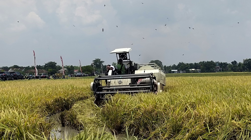 Dukung Lumbung Pangan, Petani Tuban Dibekali BMKG Ilmu Iklim