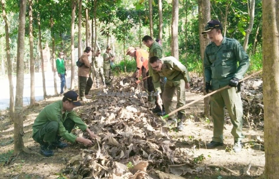 Tiga Kebakaran Hutan Hanguskan 6 Hektare Lahan, Perhutani Klaim Rugi Rp135 Juta