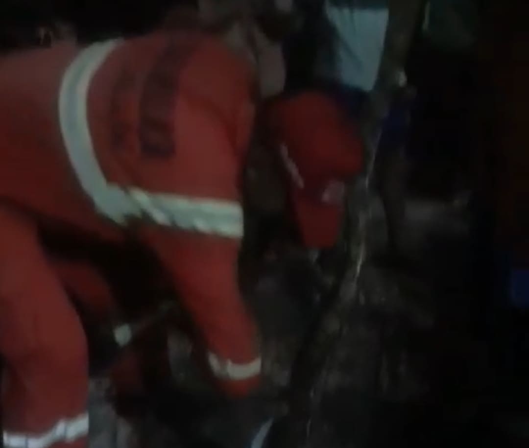 Heboh! Ular Piton Sepanjang 3 Meter Dievakuasi di Tuban