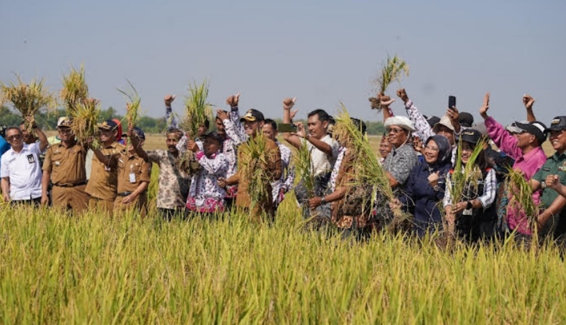 Selama Tiga Tahun, Tuban Gelontorkan 70 Miliar Rupiah untuk Pertanian