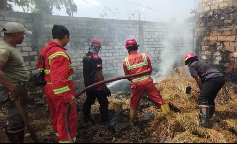 Pemilik Rumah Selamat, Dua Ekor Sapi Luka Bakar Ringan Akibat Kebakaran di Tuban