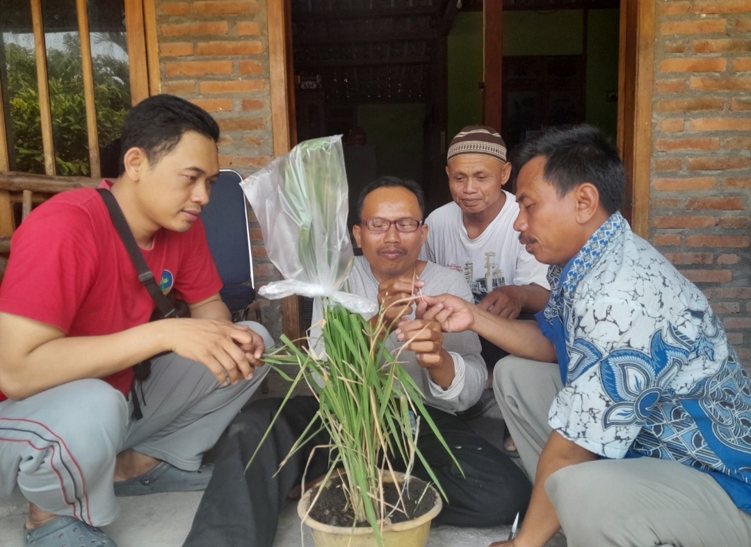 Pertanian Ekologis Ramah Lingkungan Mengubah Nasib Petani di Sekitar Lapangan Minyak Banyu Urip