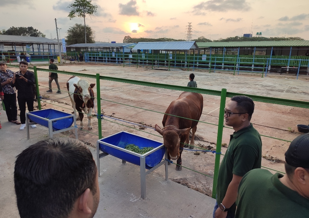 SIPANDU DESI, Inovasi Hijau PLN untuk Pertanian Berkelanjutan di Tuban