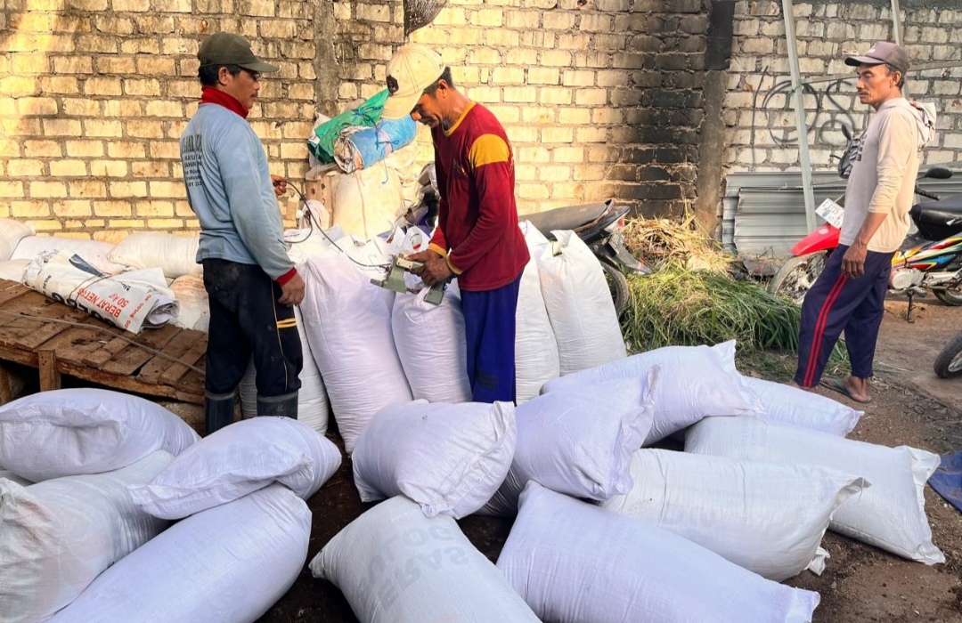 Kelompok Ternak Mandiri Barokah Hasilkan Rp1,8 Juta dari Penjualan Pupuk Kompos