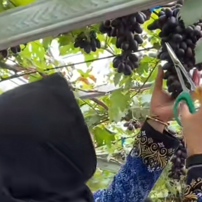 Empat Lokasi Favorit Liburan Nataru di Kabupaten Tuban
