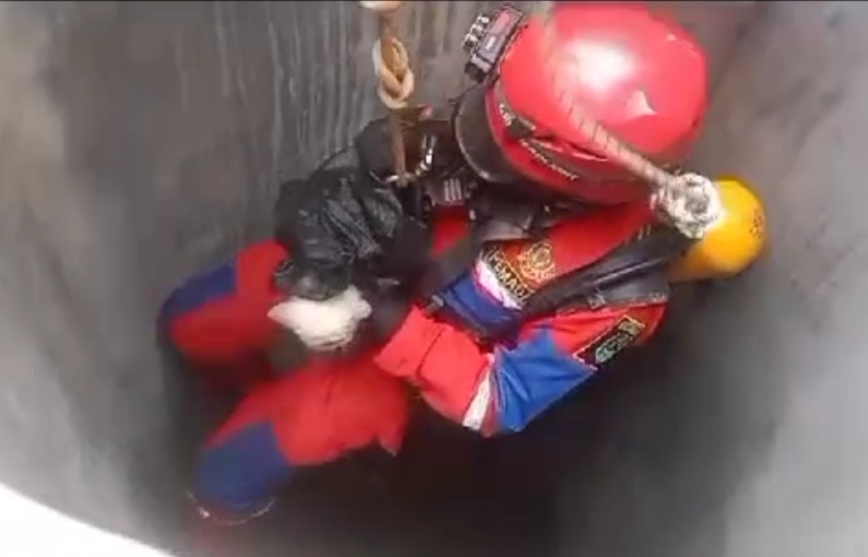 Tim Damkar Tuban Selamatkan Kucing Jatuh ke Sumur Sedalam 20 Meter