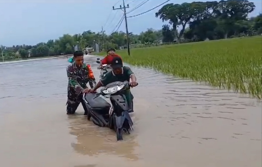 Banjir Bengawan Solo di Tuban Meluas, Tujuh Desa Terdampak
