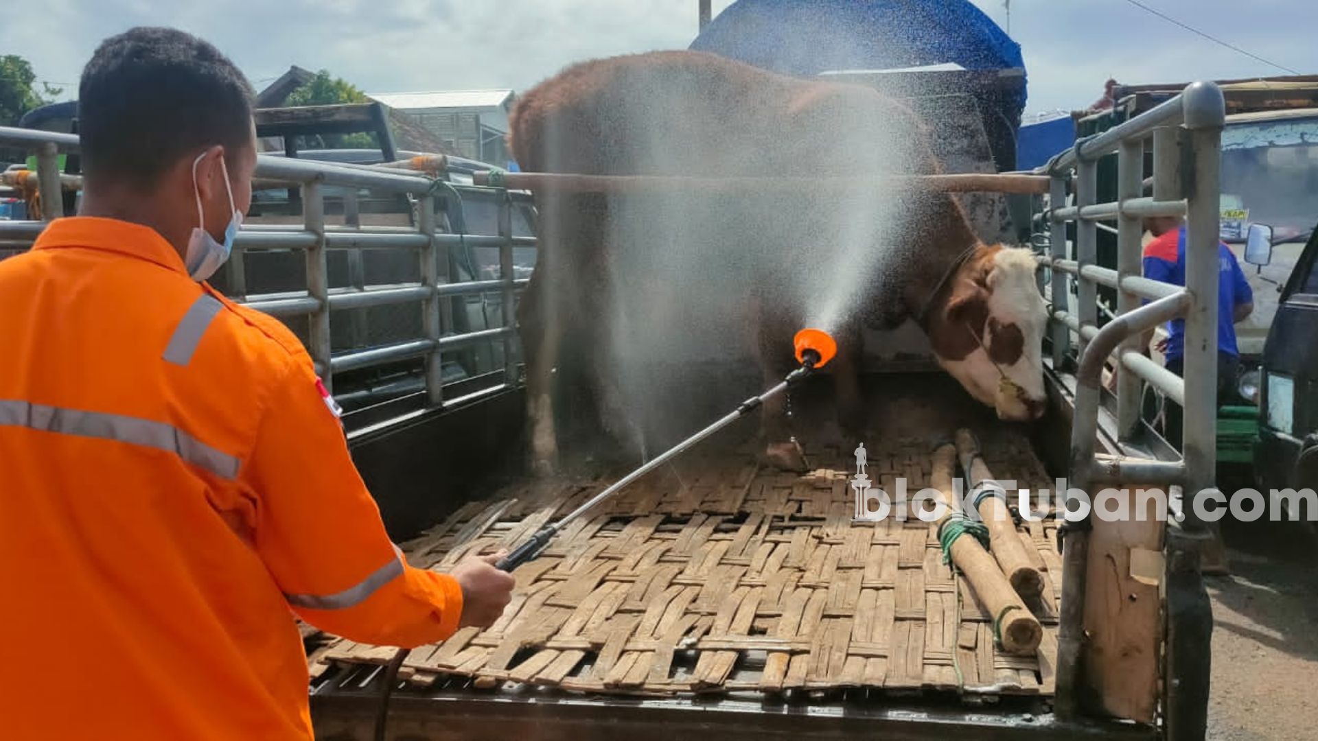 Jelang Ramadan, Pasar Hewan Tuban Kembali Dibuka dengan Protokol Ketat