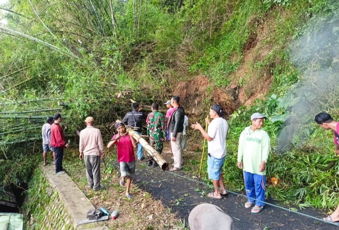 Tanah Longsor dan Pohon Tumbang di Grabagan Tuban, Jalan Sempat Tertutup Total