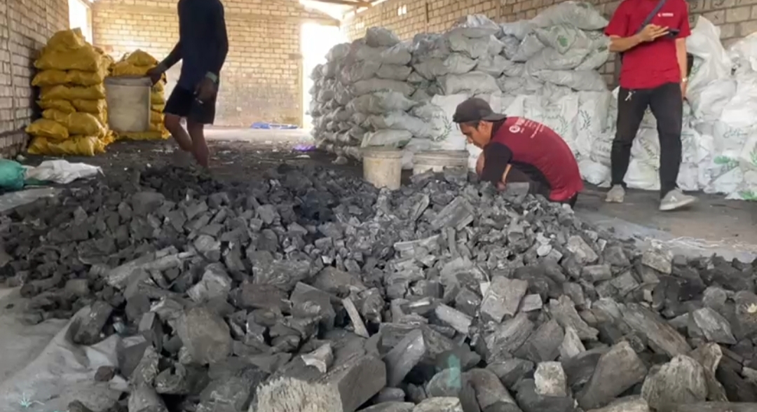 Arang Kayu Asem asal Tuban Diburu Qatar dan Arab Saudi