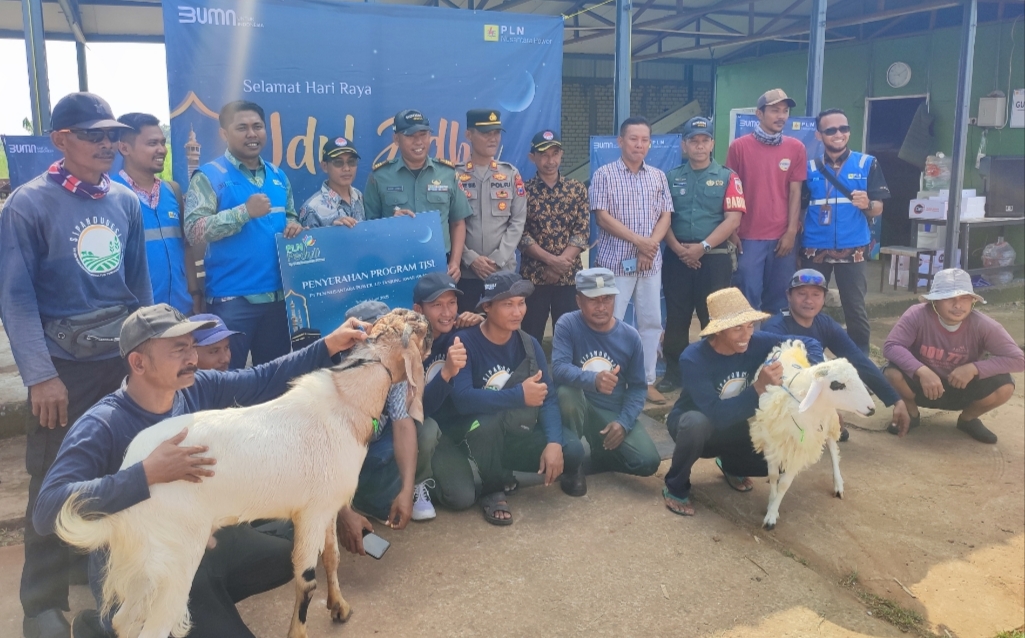 PLN NP Bagi 26 Hewan Kurban ke 5 Desa Sekitar PLTU Tuban