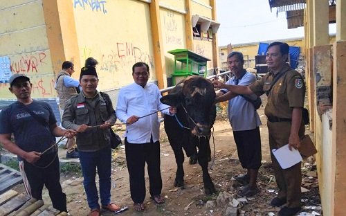 Jelang Iduladha, Bupati Tuban Serahkan Hewan Kurban Kepada...