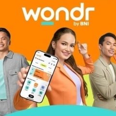 5. Solusi Transfer BNI Gagal tapi Saldo Terpotong