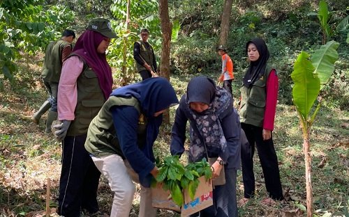 Lestarikan Kebun Kopi sebagai Aset Desa, Mahasiswa IAINU...