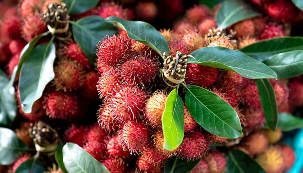 Musim Rambutan! Simak Sederet Manfaatnya Bagi Kesehatan