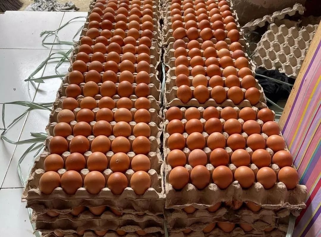 Telur Ayam di Tuban Naik, Gula, Cabai, dan Bawang Merah Turun