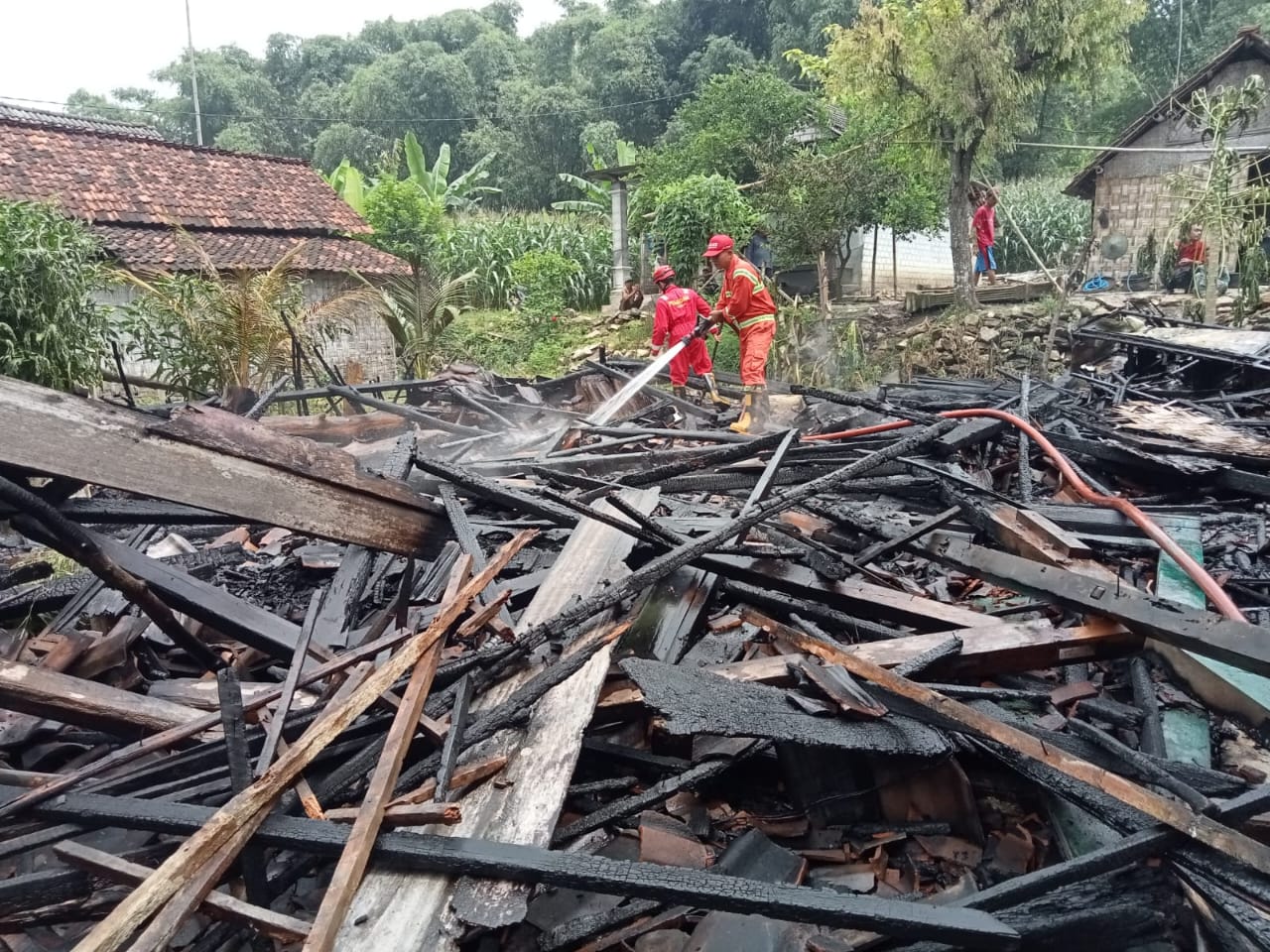 Rumah dan Ternak Warga Tuban Dilahap si Jago Merah