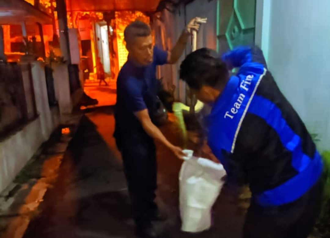 Aksi Heroik Satpol PP dan Damkar Tuban: Evakuasi Ular Piton 3 Meter dari Lorong Rumah Warga