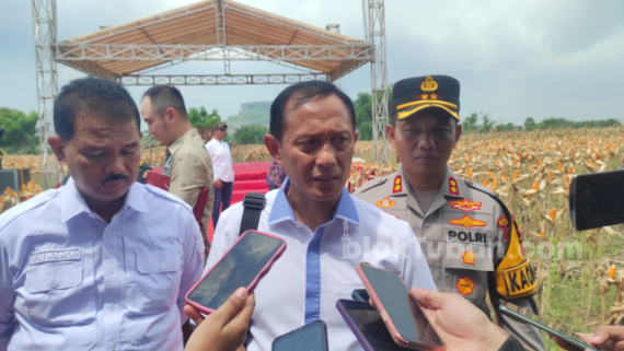 Wakasatgas Pangan Mabes Polri Sebut Ketersediaan Padi dan Jagung di Tuban Masih Aman