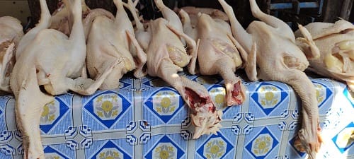 Harga Daging Ayam di Tuban Naik Tajam Jelang Ramadan, Pedagang Merasa Tertekan