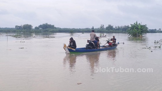 Belum Ada Tanggul Jadi Penyebab Banjir Luapan Bengawan Solo di Tuban