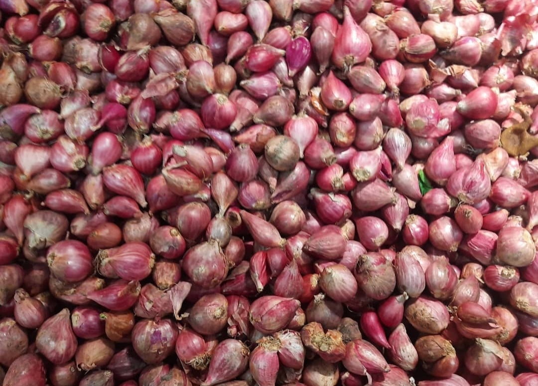 Bawang Merah di Tuban Tembus Rp53 Ribu, Tomat Rp15 Ribu/Kg