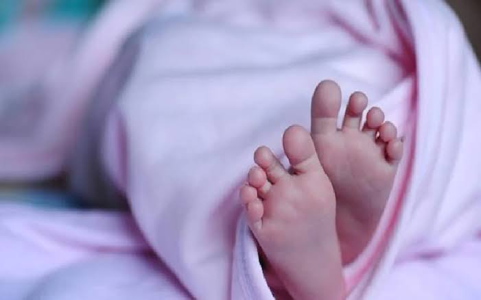 Bayi Baru Lahir Ditemukan di Teras Rumah Warga Tuban